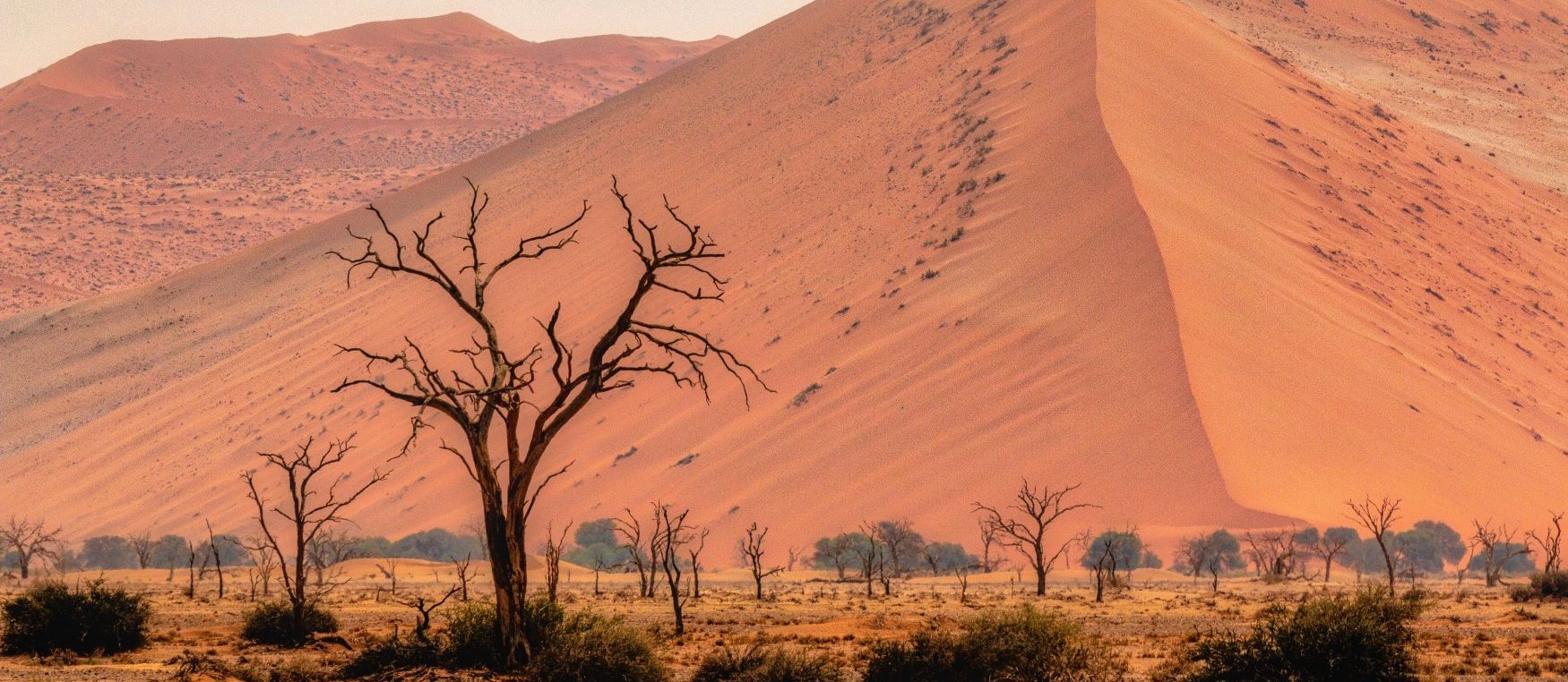 tour namibia