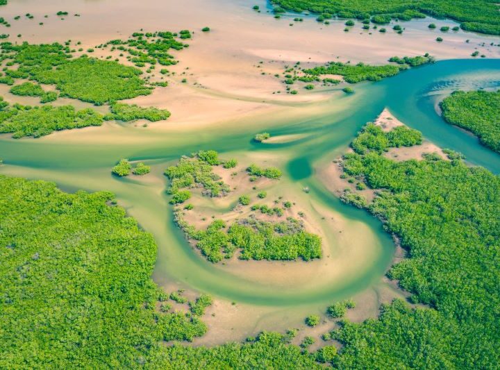 tour senegal organizzato