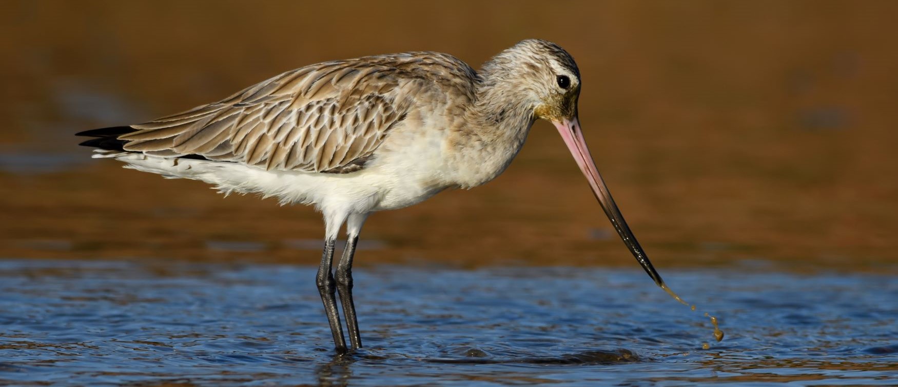 tour senegal organizzato