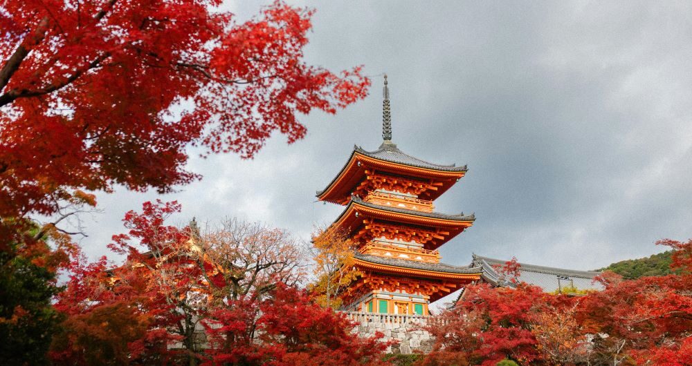 viaggio giappone corea del sud