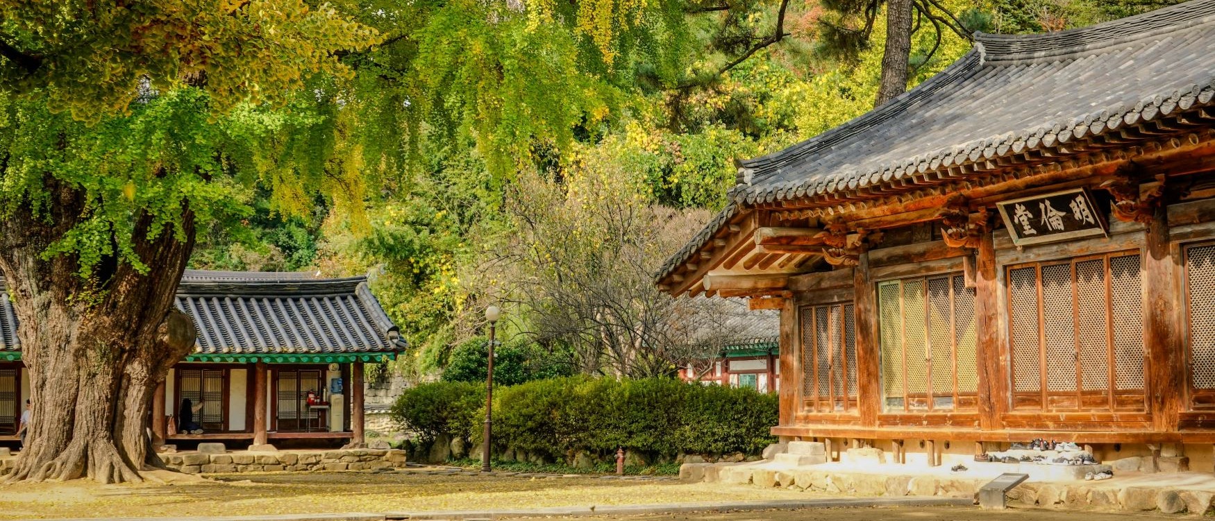 viaggio giappone corea del sud