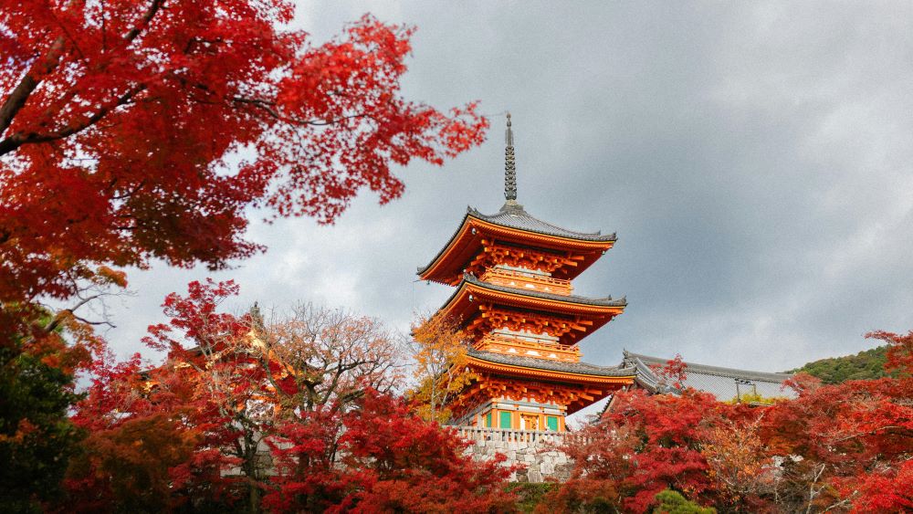 viaggio giappone corea del sud