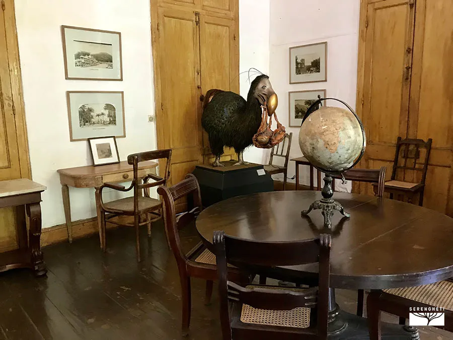 IMG_3378 mauritius-escursioni