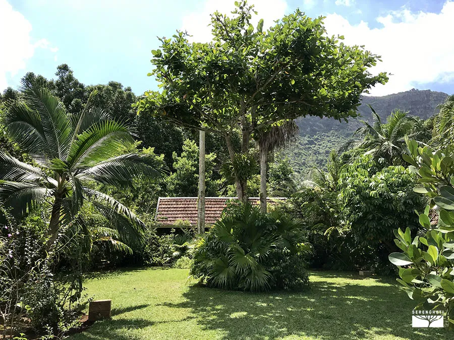 IMG_3384 mauritius-escursioni