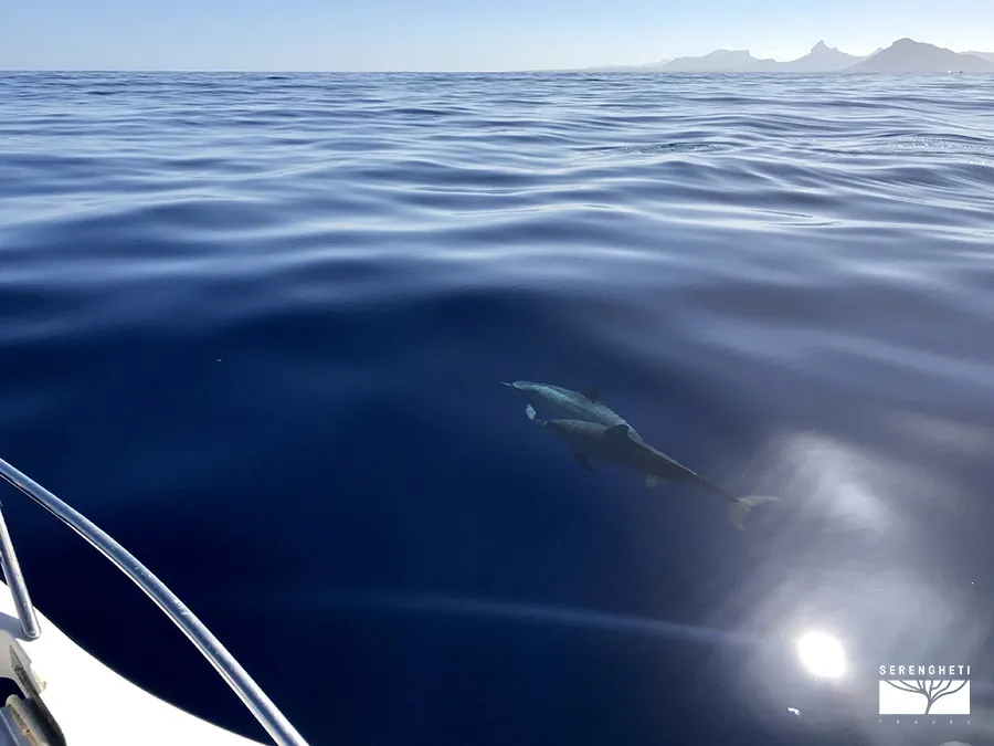 IMG_3529 mauritius-escursioni