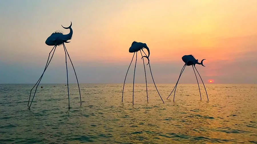 escursioni a phu quoc