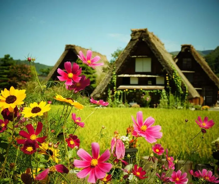 blog-itinerario-giappone