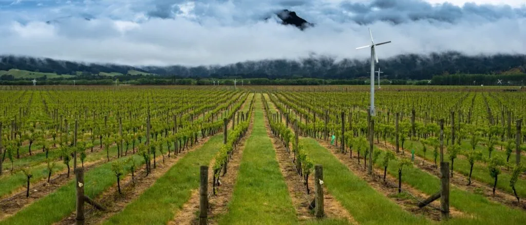 Marlborough