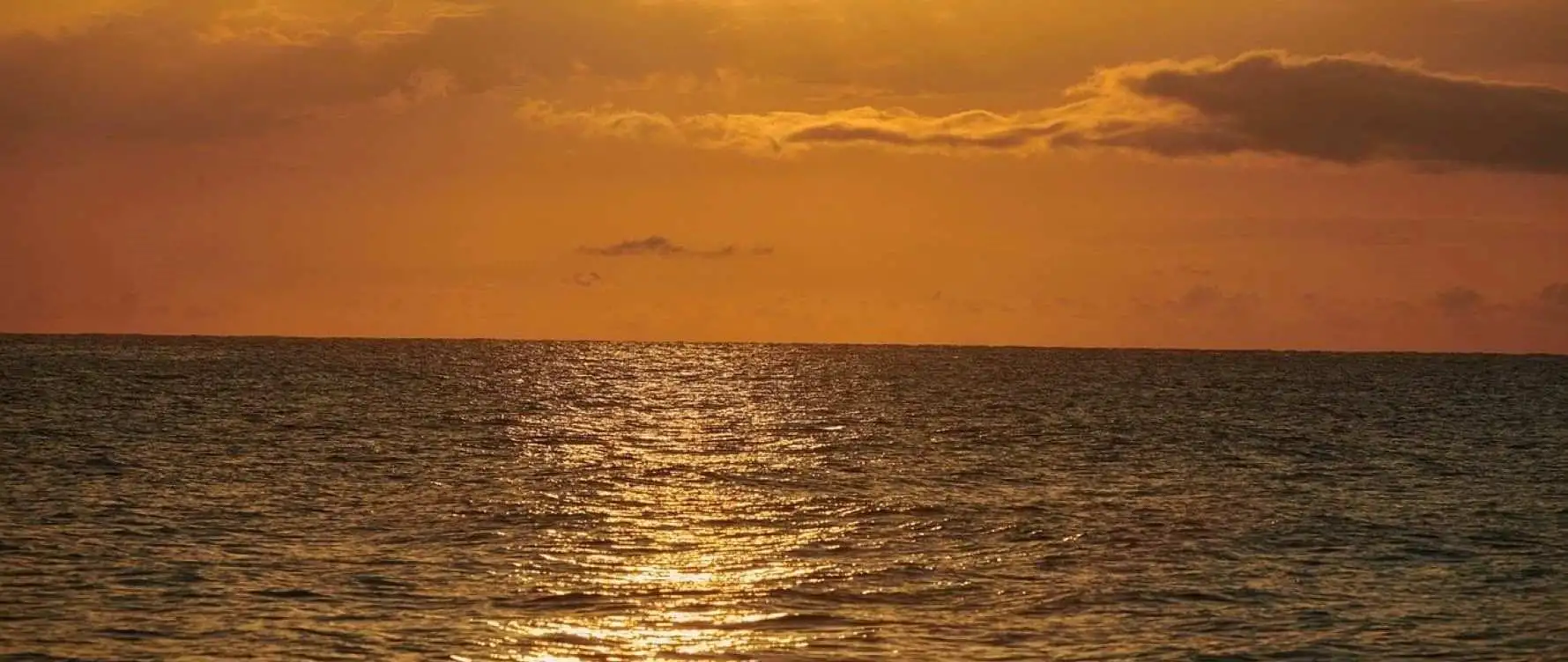 Crociera al tramonto