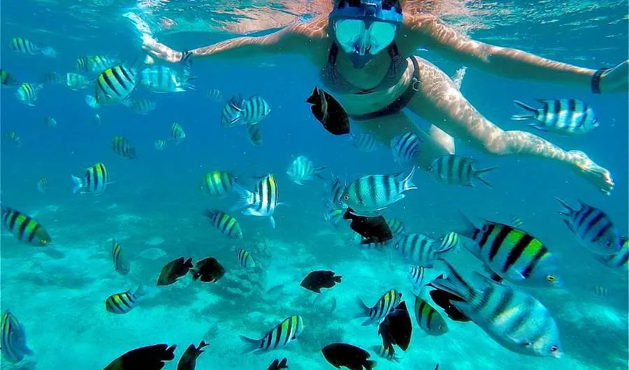 escursioni alle maldive