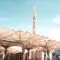 cosa vedere in arabia saudita