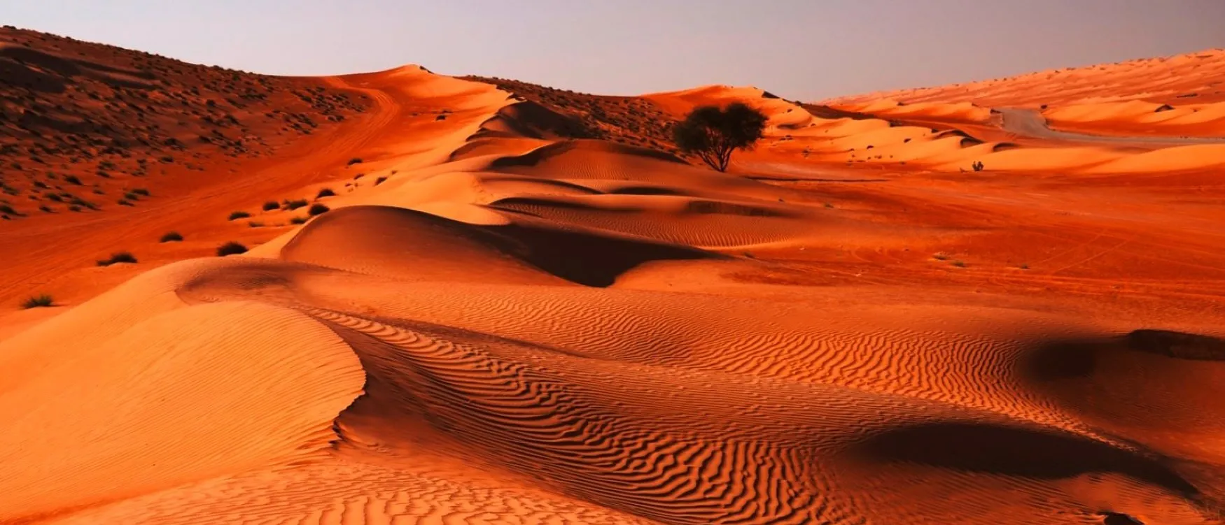 OMAN2