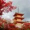 viaggio giappone corea del sud