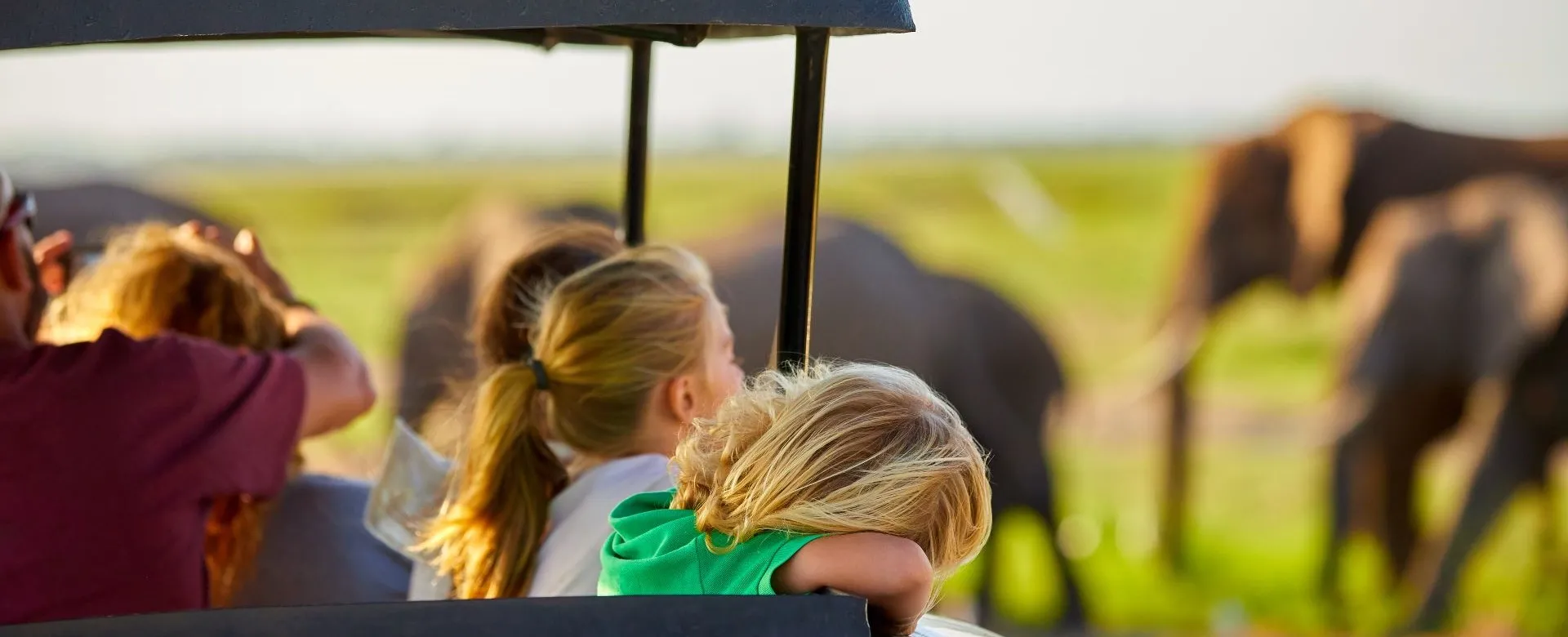 Safari con bambini