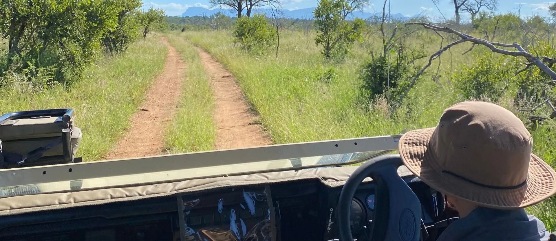 safari con bambini